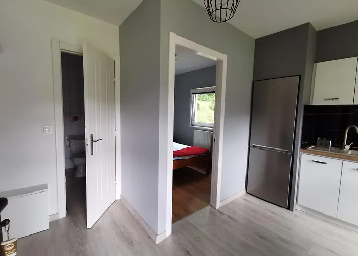 U Cioci Meli 別荘 Brodnica Dolna